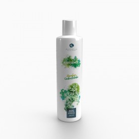 Bagno Doccia Ginko Biloba e Bamboo - Alkemilla