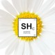 Shampoo delicato Camomilla